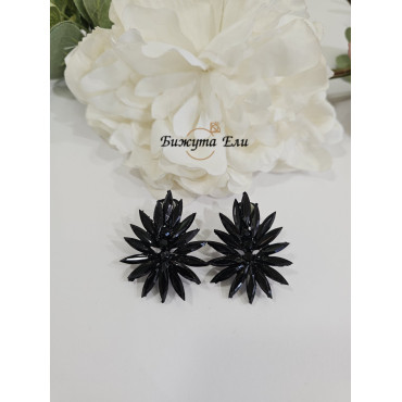 Официални обеци на клипс