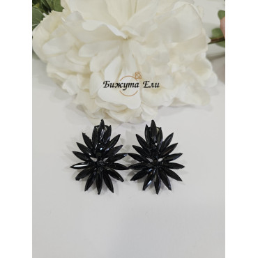 Официални обеци на клипс