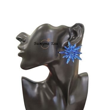 Официални обеци 